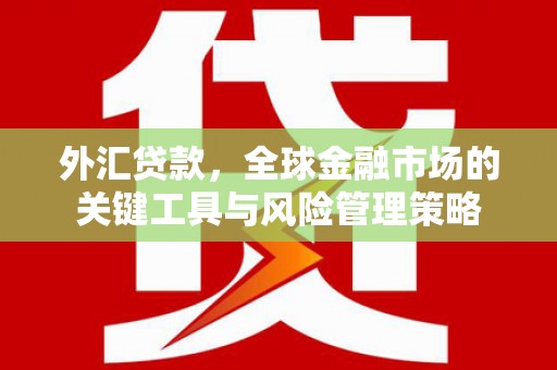 闵行外汇贷款，全球金融市场的关键工具与风险管理策略