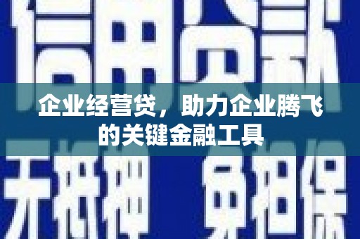 闵行企业经营贷，助力企业腾飞的关键金融工具