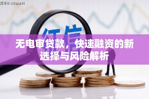 闵行无电审贷款，快速融资的新选择与风险解析