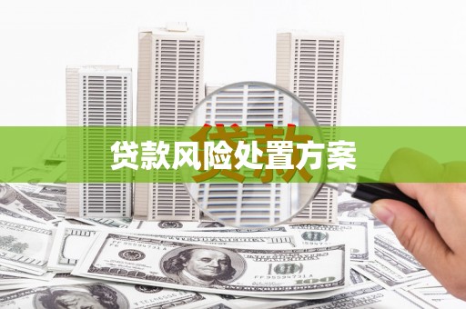 闵行贷款风险处置方案