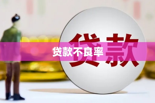 闵行贷款不良率
