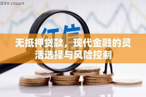 闵行无抵押贷款，现代金融的灵活选择与风险控制
