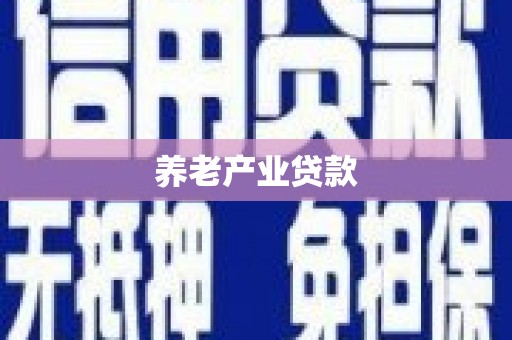 闵行养老产业贷款