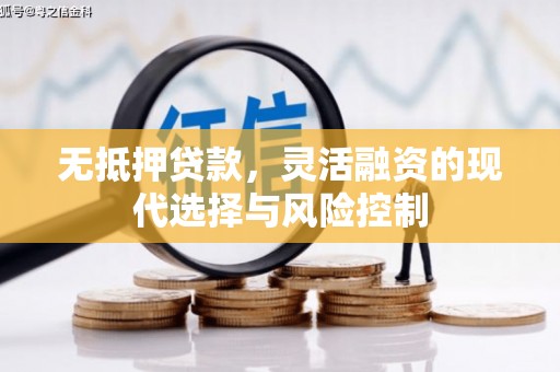 闵行无抵押贷款，灵活融资的现代选择与风险控制