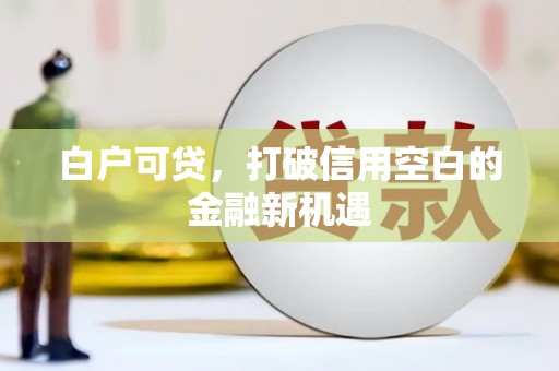闵行白户可贷，打破信用空白的金融新机遇