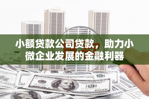 闵行小额贷款公司贷款，助力小微企业发展的金融利器