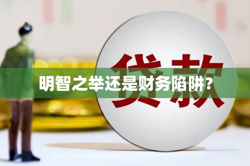 闵行明智之举还是财务陷阱？