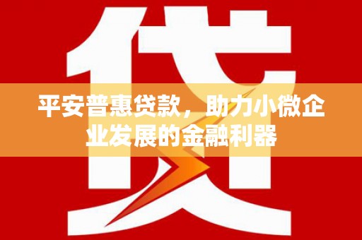 闵行平安普惠贷款，助力小微企业发展的金融利器