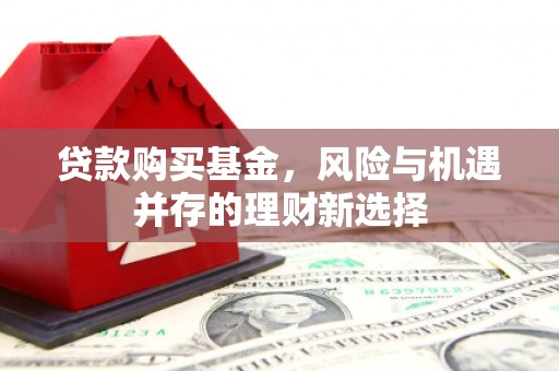 闵行贷款购买基金，风险与机遇并存的理财新选择
