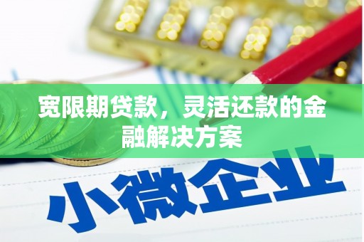 闵行宽限期贷款，灵活还款的金融解决方案