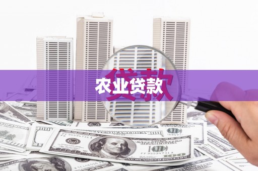 闵行农业贷款