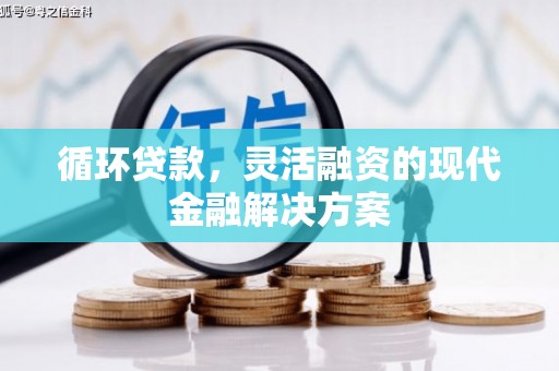 闵行循环贷款，灵活融资的现代金融解决方案