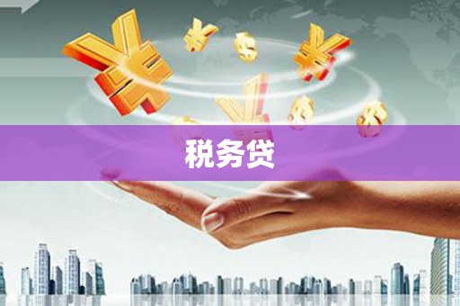 闵行税务贷