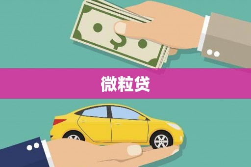 闵行微粒贷