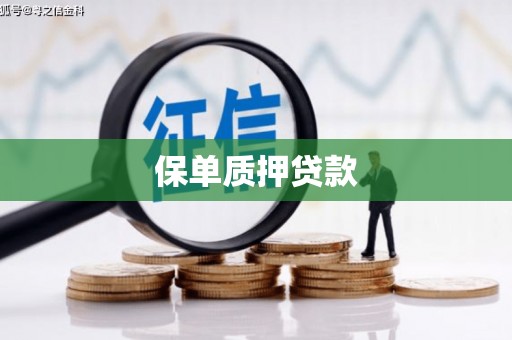 闵行保单质押贷款