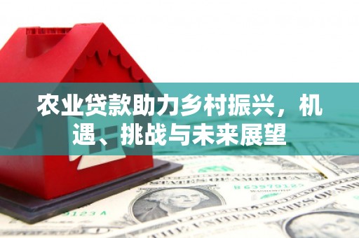 闵行农业贷款助力乡村振兴，机遇、挑战与未来展望