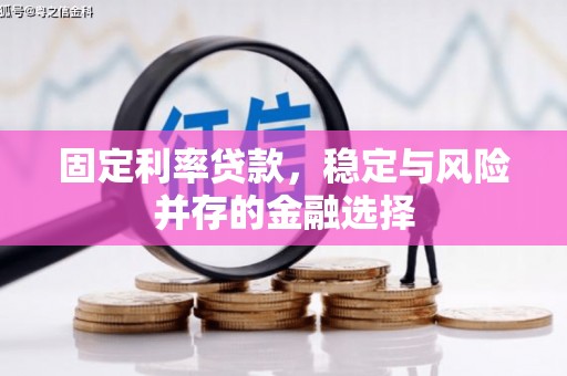 闵行固定利率贷款，稳定与风险并存的金融选择