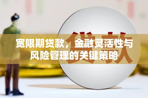 闵行宽限期贷款，金融灵活性与风险管理的关键策略