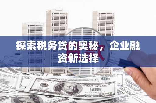 闵行探索税务贷的奥秘，企业融资新选择