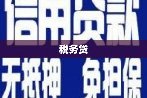 闵行税务贷