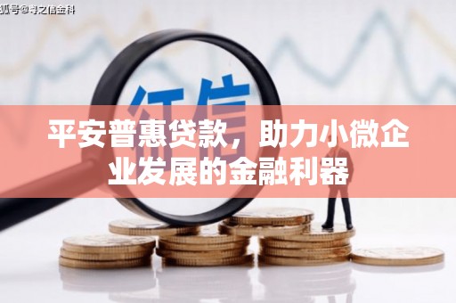 闵行平安普惠贷款，助力小微企业发展的金融利器