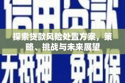 闵行探索贷款风险处置方案，策略、挑战与未来展望