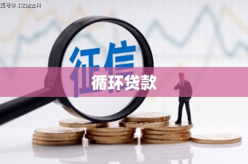 闵行循环贷款