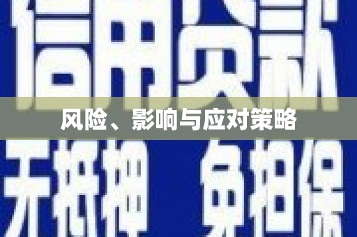 闵行风险、影响与应对策略