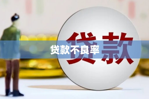闵行贷款不良率