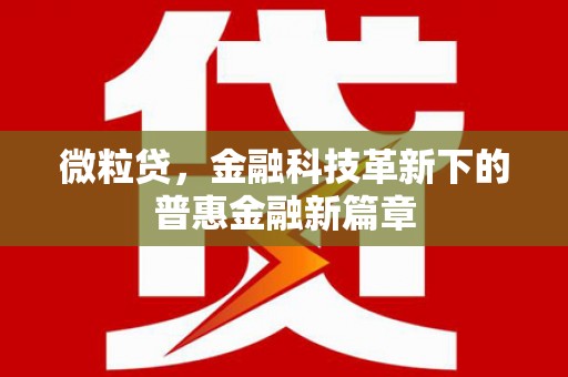 闵行微粒贷，金融科技革新下的普惠金融新篇章