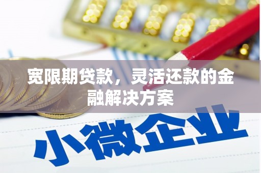 闵行宽限期贷款，灵活还款的金融解决方案