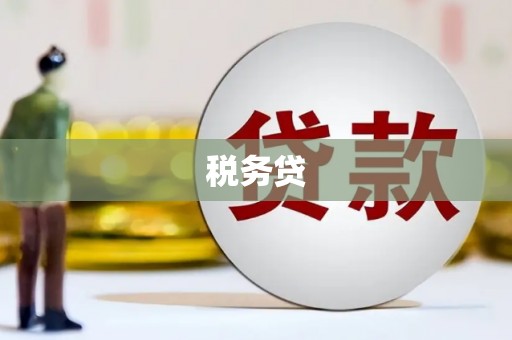 闵行税务贷