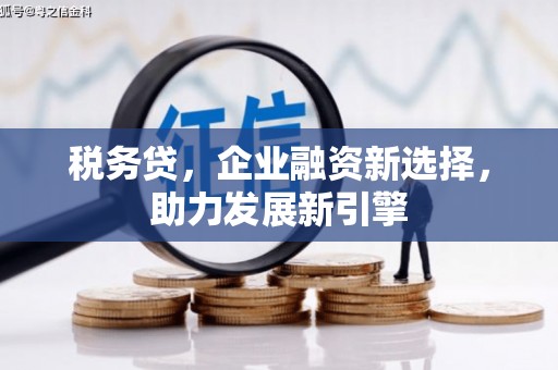闵行税务贷，企业融资新选择，助力发展新引擎