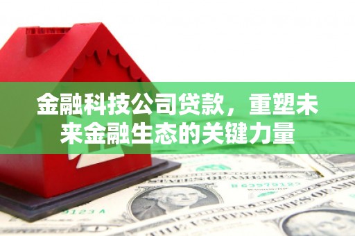 闵行金融科技公司贷款，重塑未来金融生态的关键力量