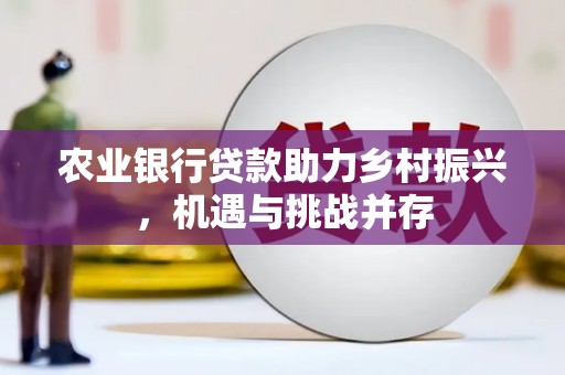 闵行农业银行贷款助力乡村振兴，机遇与挑战并存
