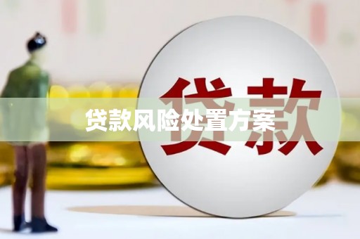 闵行贷款风险处置方案