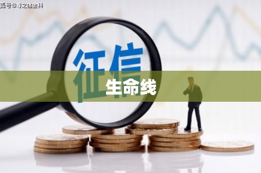 闵行生命线