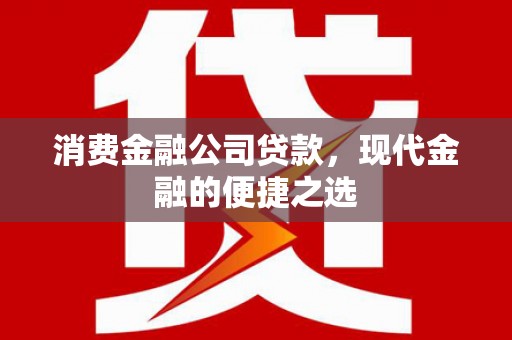 闵行消费金融公司贷款，现代金融的便捷之选