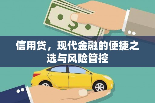 闵行信用贷，现代金融的便捷之选与风险管控