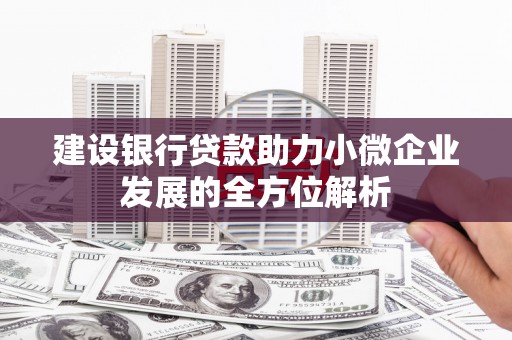 闵行建设银行贷款助力小微企业发展的全方位解析