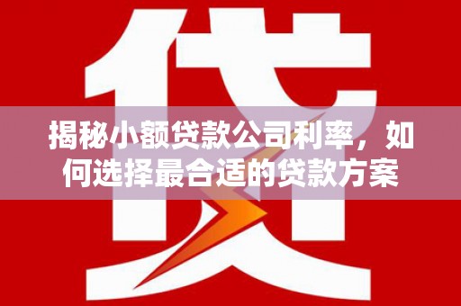 闵行揭秘小额贷款公司利率，如何选择最合适的贷款方案