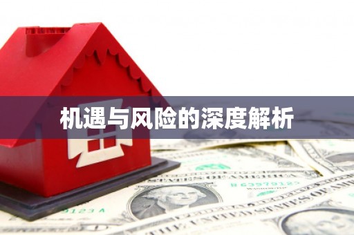 闵行机遇与风险的深度解析