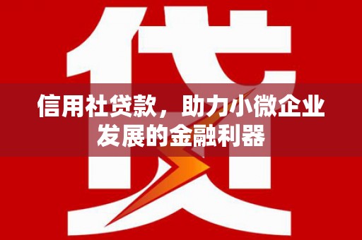 闵行信用社贷款，助力小微企业发展的金融利器