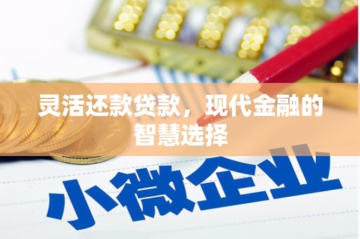 闵行灵活还款贷款，现代金融的智慧选择