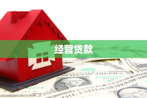 闵行经营贷款