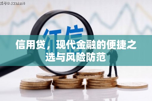 闵行信用贷，现代金融的便捷之选与风险防范