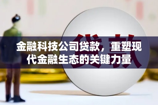 闵行金融科技公司贷款，重塑现代金融生态的关键力量