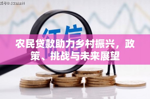 闵行农民贷款助力乡村振兴，政策、挑战与未来展望