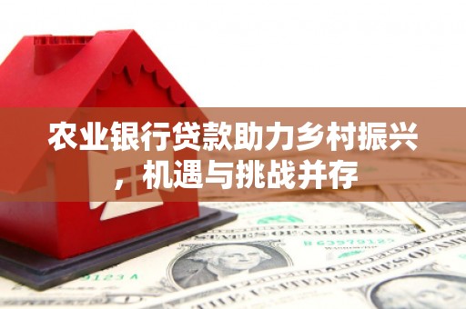 闵行农业银行贷款助力乡村振兴，机遇与挑战并存