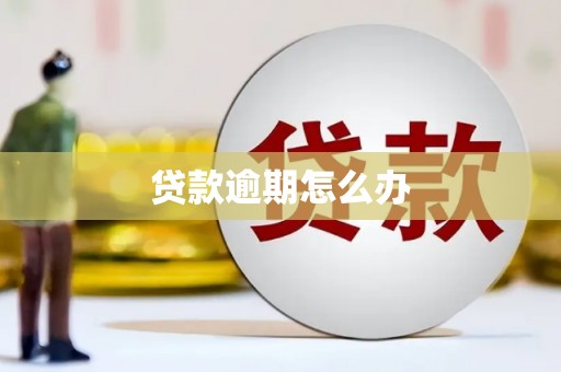 闵行贷款逾期怎么办